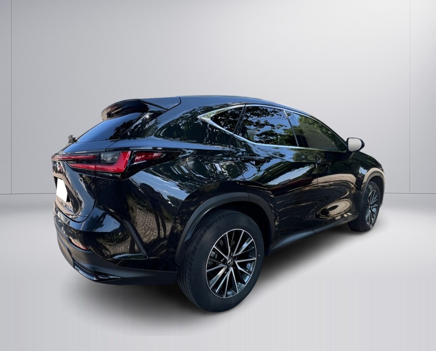 Lexus Seria NX 450h+ (3)