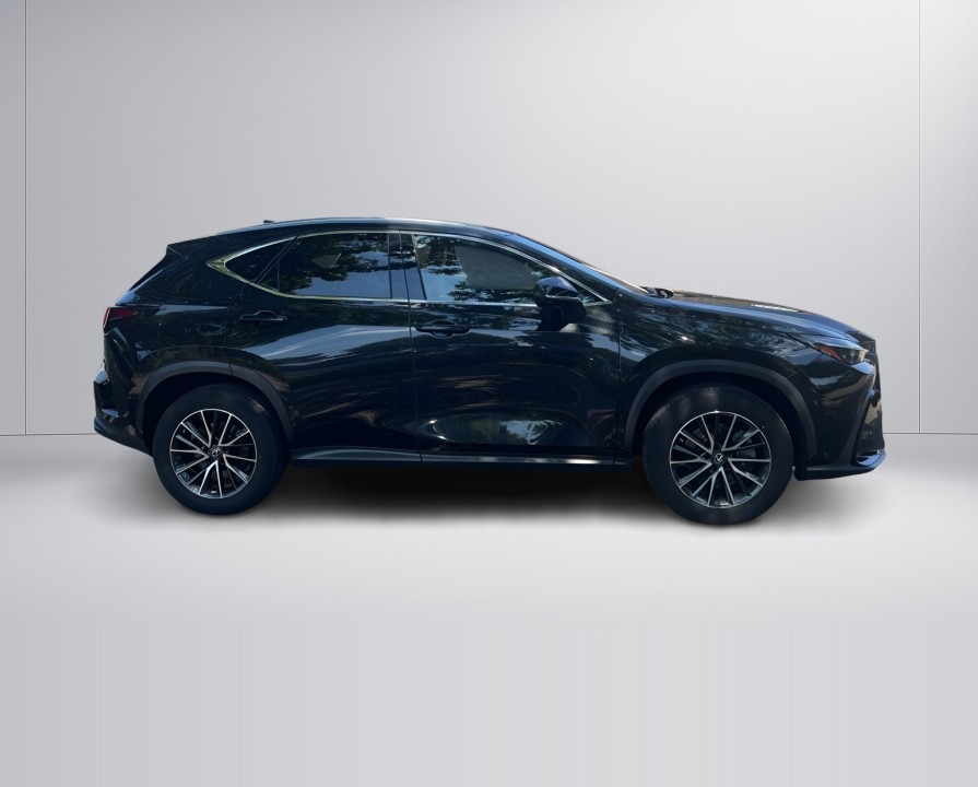 Lexus Seria NX 450h+ (2)