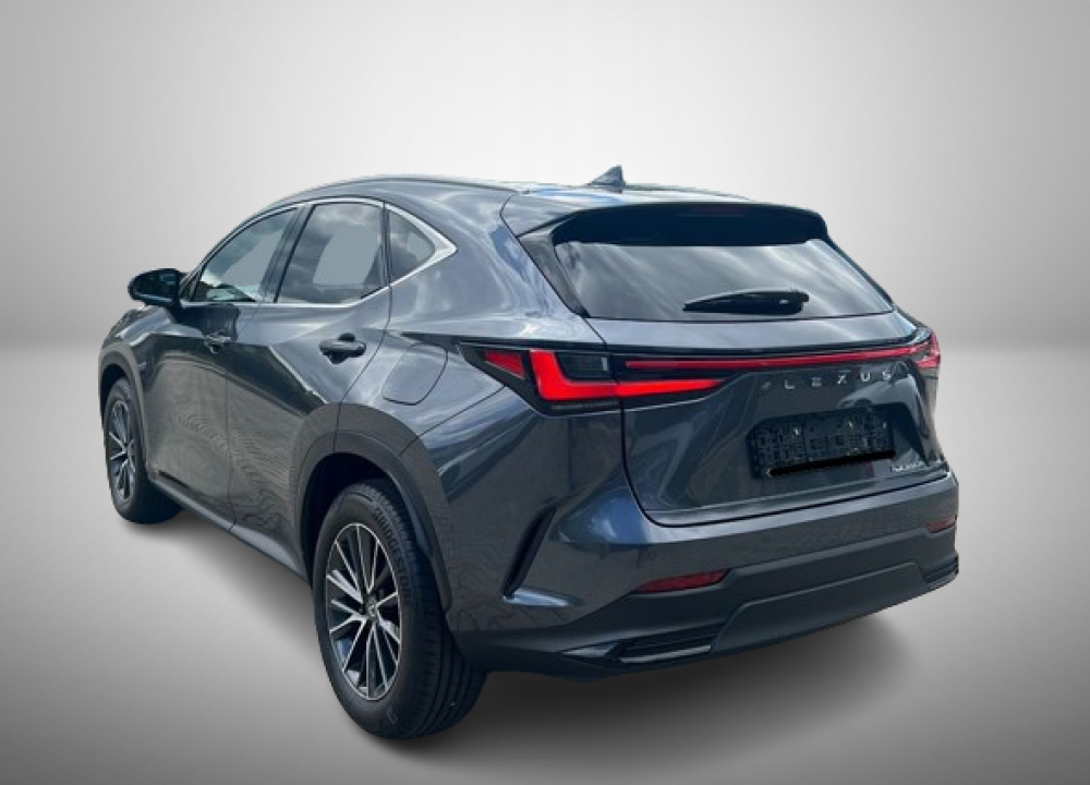 Lexus Seria NX 350h AWD Executive Line (5)