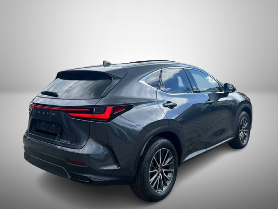 Lexus Seria NX 350h AWD Executive Line (3)