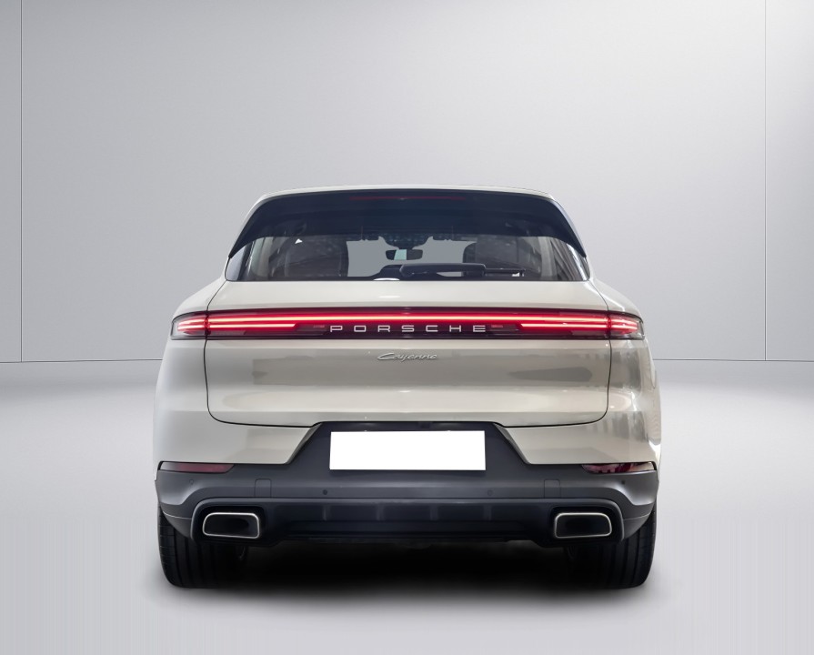 Porsche Cayenne (4)