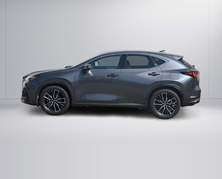 Lexus Seria NX Lexus NX 350h Luxury Line - foto 6
