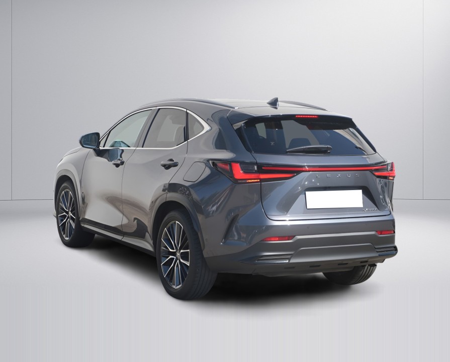 Lexus Seria NX Lexus NX 350h Luxury Line (5)