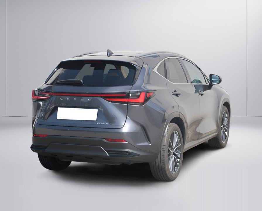 Lexus Seria NX Lexus NX 350h Luxury Line (3)
