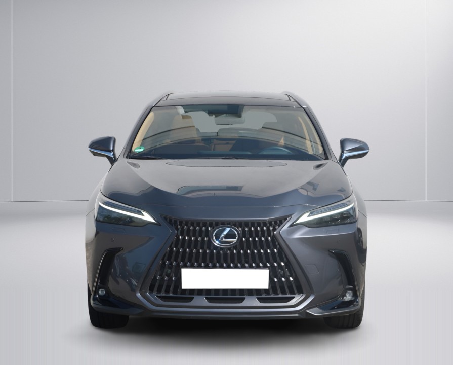 Lexus Seria NX Lexus NX 350h Luxury Line - foto 8