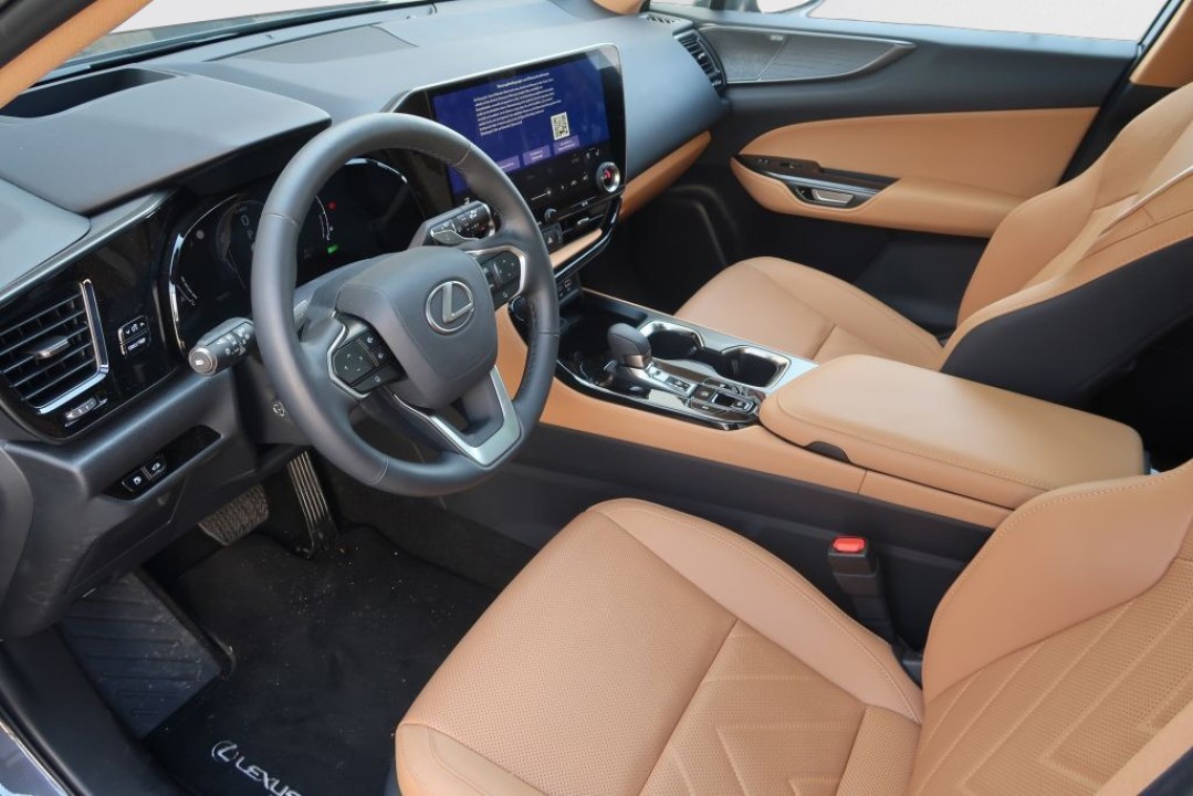 Lexus Seria NX Lexus NX 350h Luxury Line - foto 9