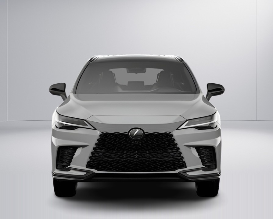Lexus Seria RX 500h F-Sport Black Line (2)