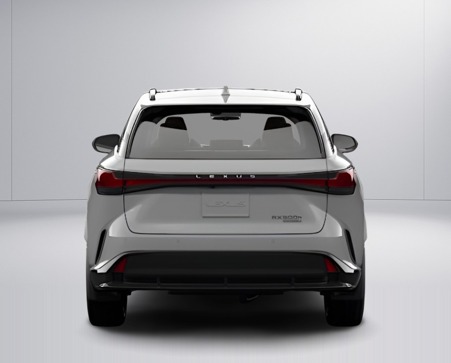 Lexus Seria RX 500h F-Sport Black Line (5)
