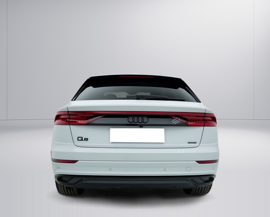 Audi Q8 55 TFSIe quattro (3)