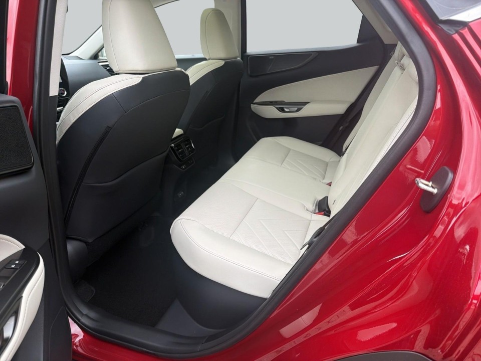 Lexus Seria NX 350h Luxury - foto 13