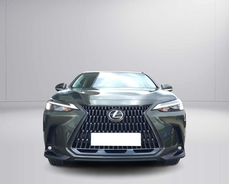 Lexus Seria NX 350h Executive (2)