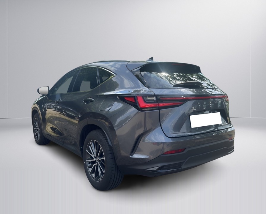 Lexus Seria NX 450h+ Executive (5)