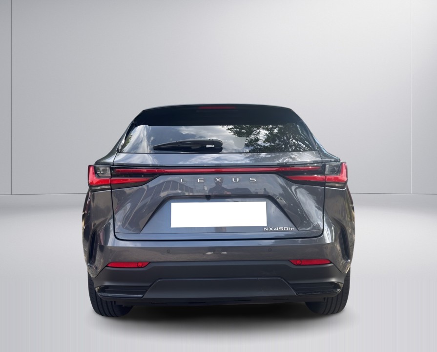 Lexus Seria NX 450h+ Executive (4)
