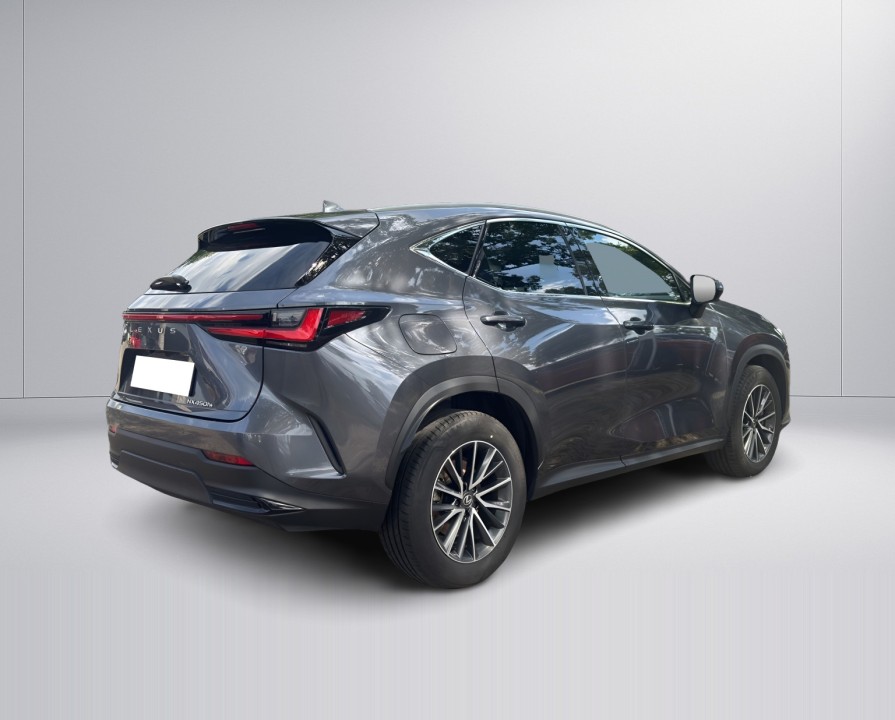 Lexus Seria NX 450h+ Executive (3)