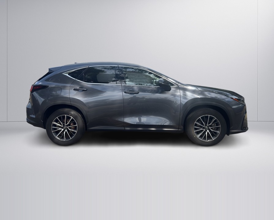Lexus Seria NX 450h+ Executive (2)