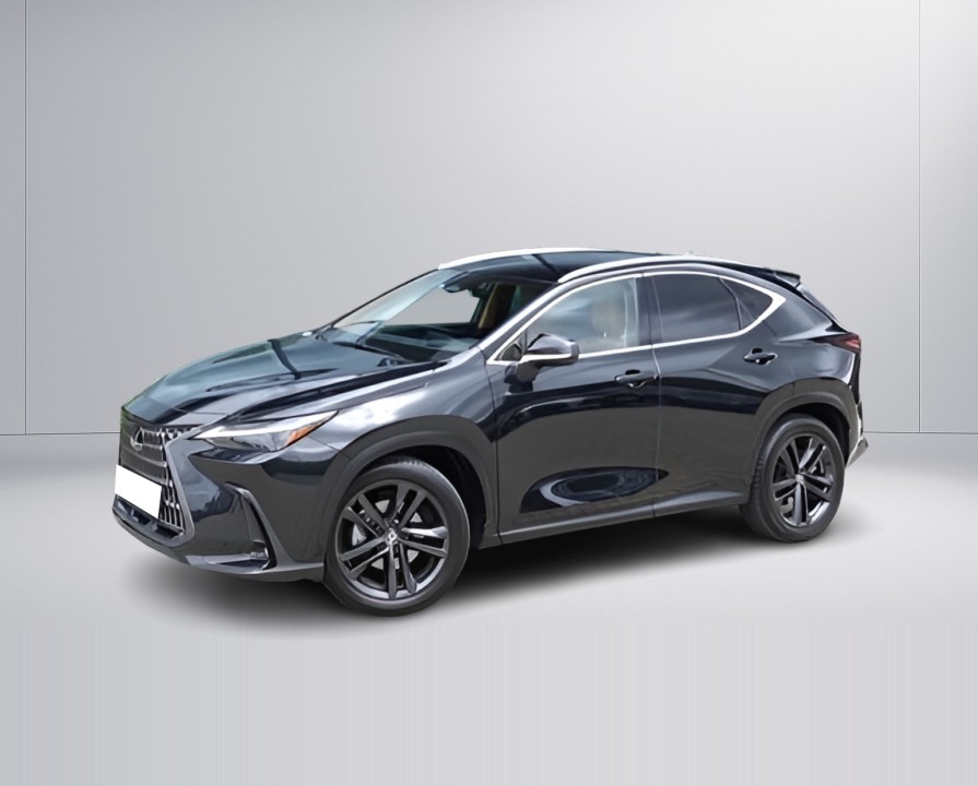 Lexus Seria NX 350h Executive (4)