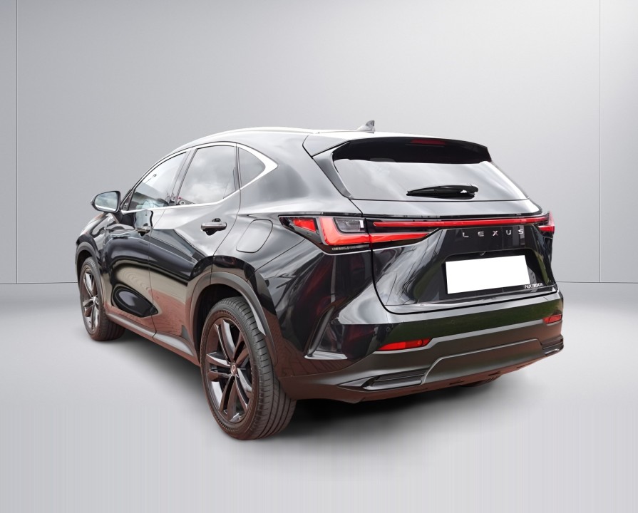 Lexus Seria NX 350h Executive (5)