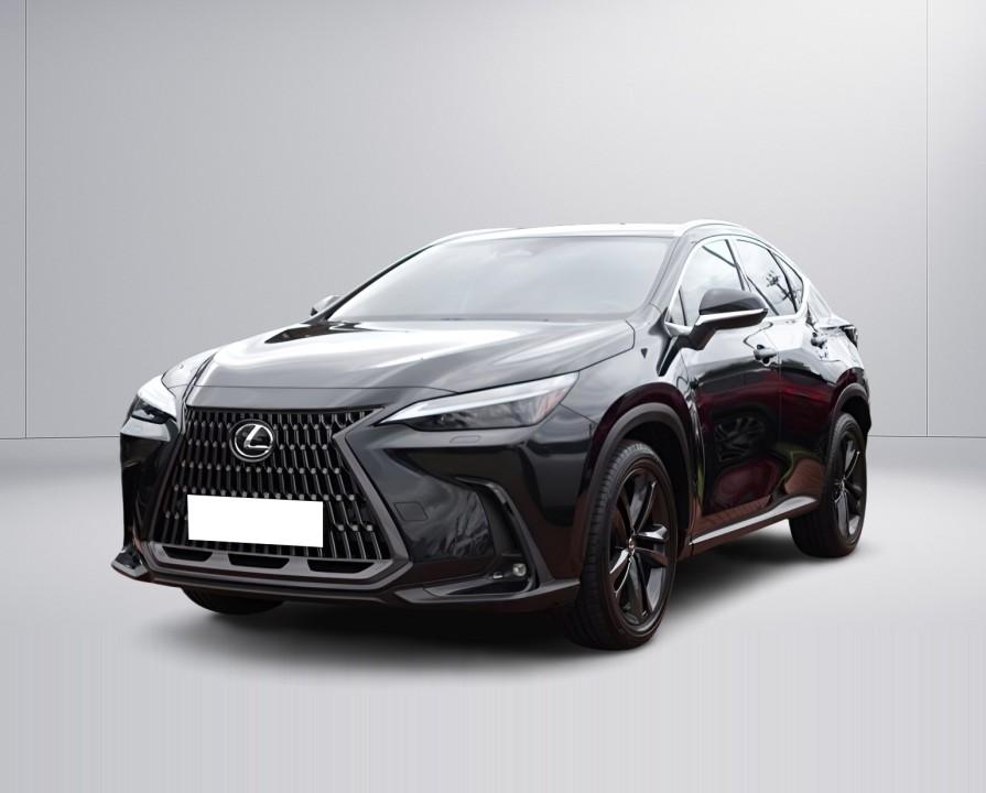 Lexus Seria NX 350h Executive (3)