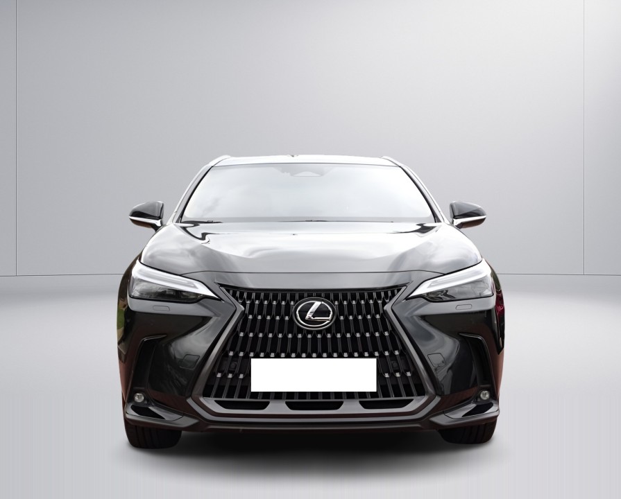 Lexus Seria NX 350h Executive (2)