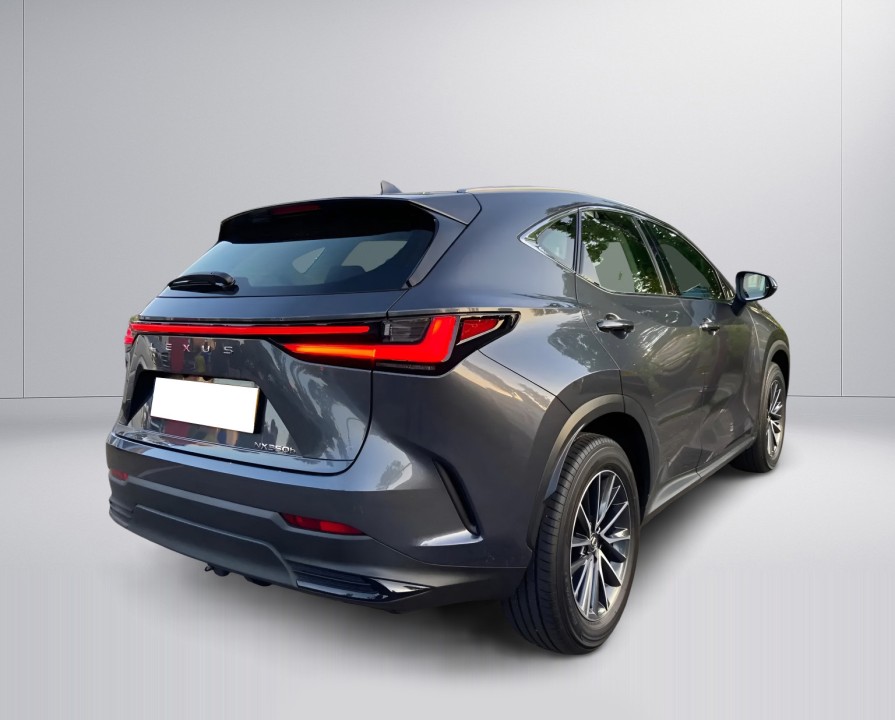 Lexus Seria NX 350h LUXURY (3)