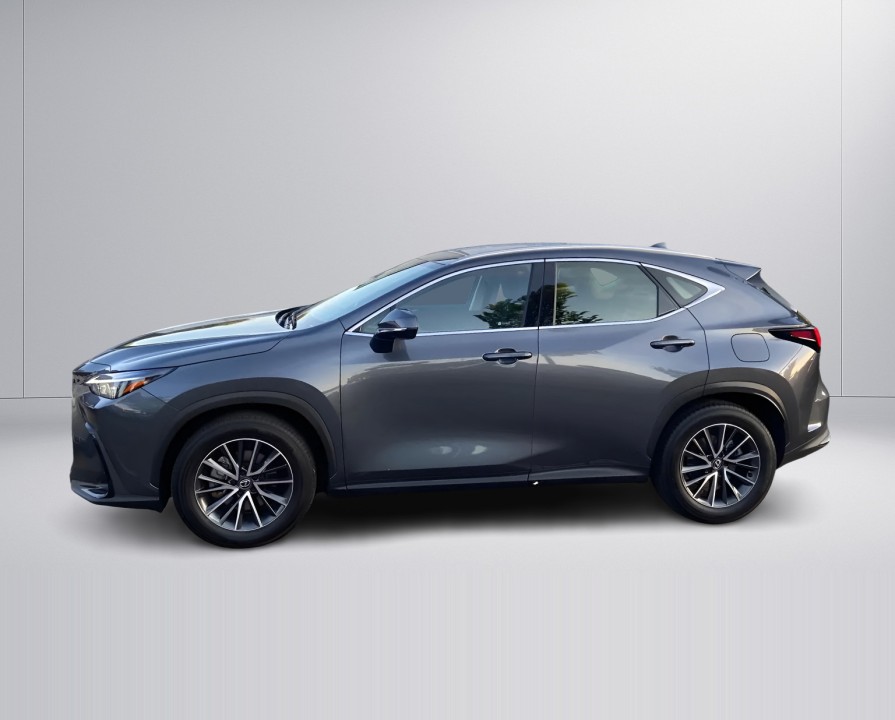 Lexus Seria NX 350h LUXURY (5)