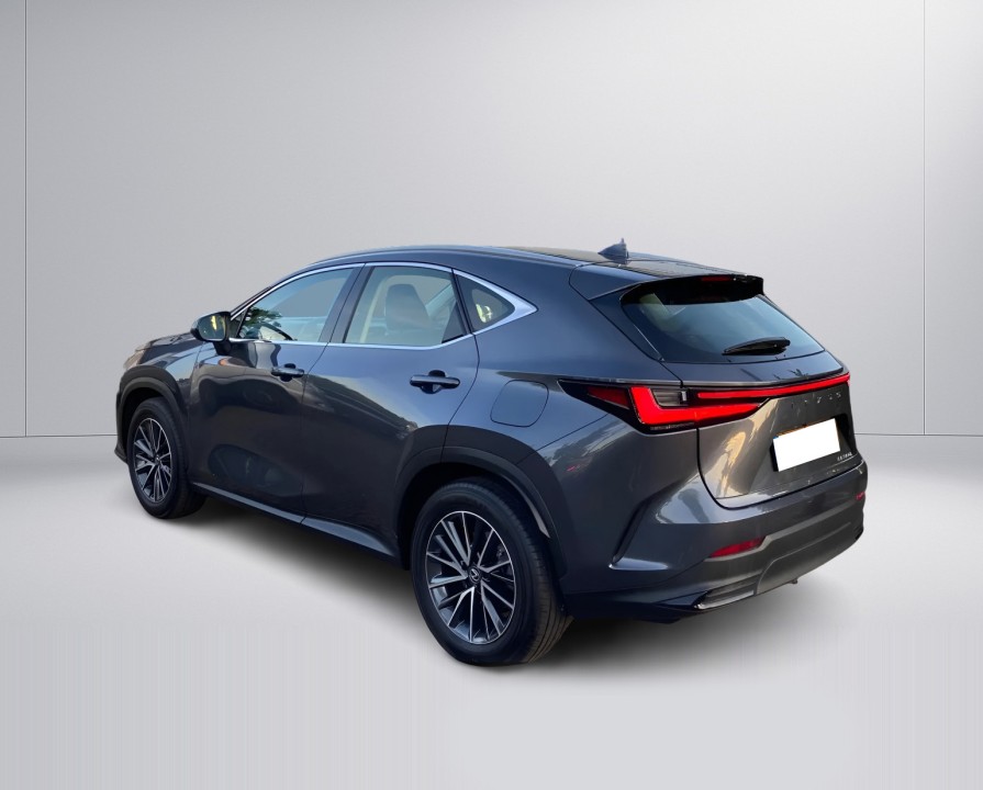 Lexus Seria NX 350h LUXURY (4)