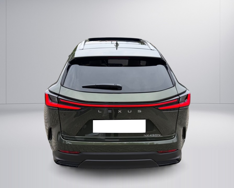 Lexus Seria NX 450h+ (5)