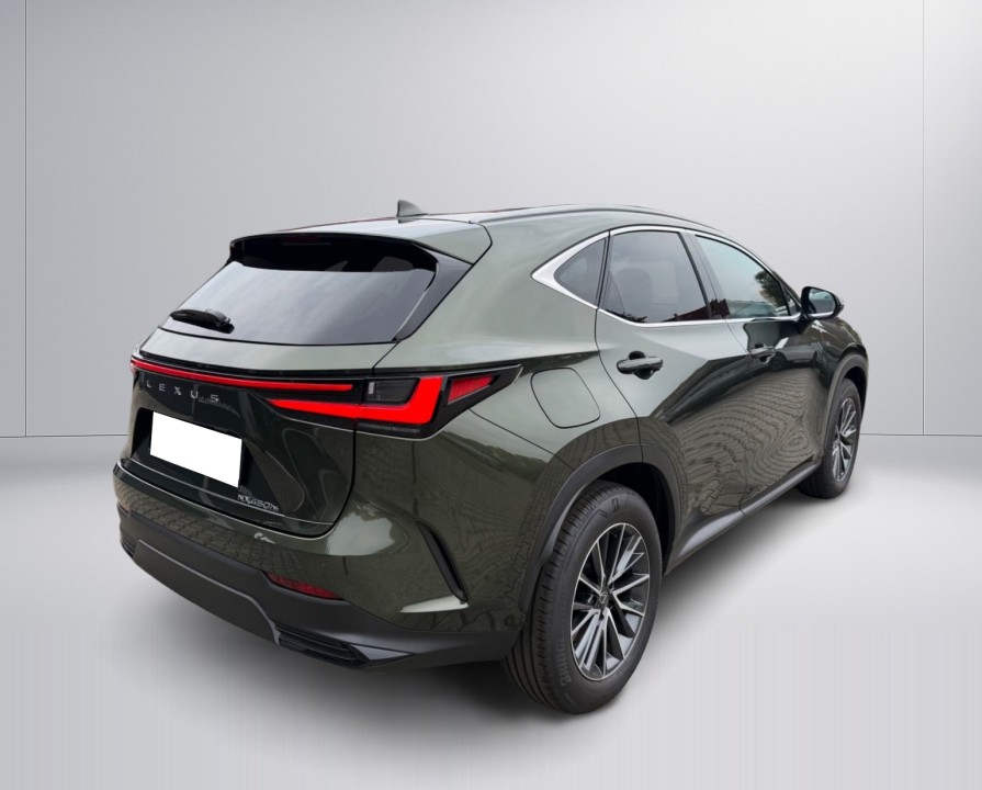 Lexus Seria NX 450h+ (4)