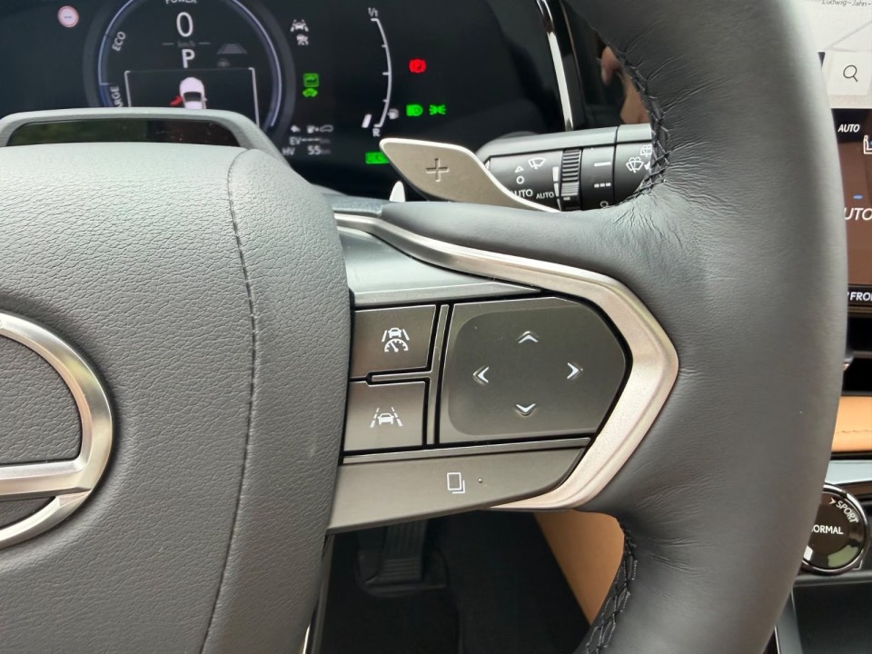 Lexus Seria NX 450h+ - foto 19