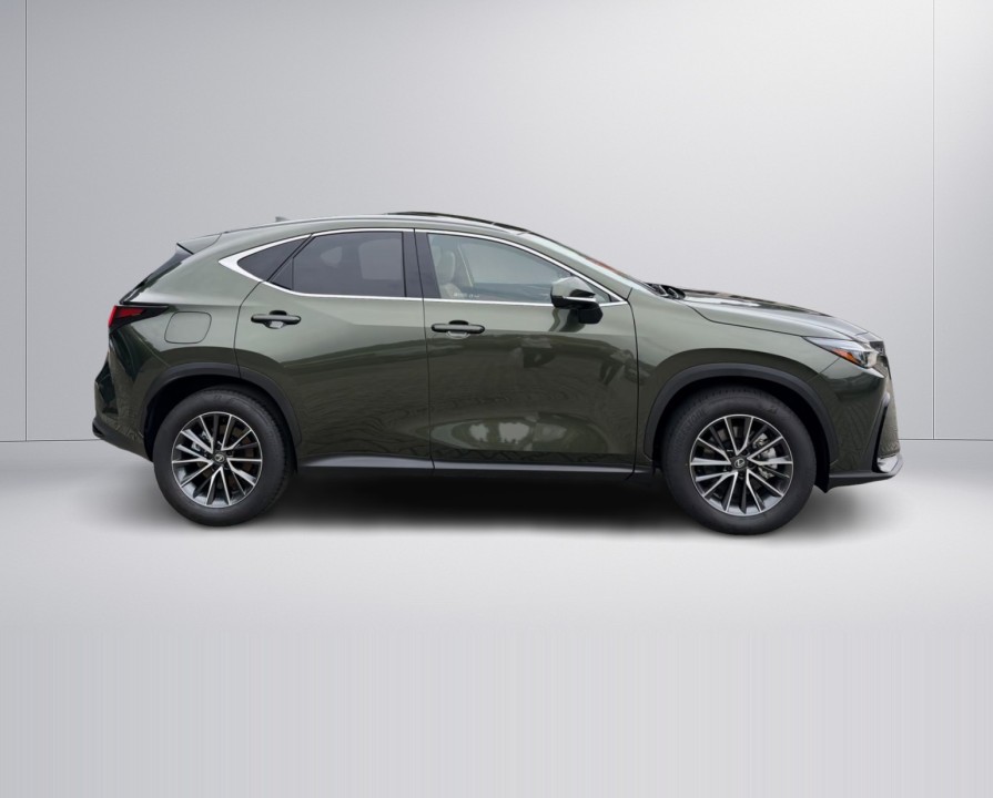 Lexus Seria NX 450h+ (3)