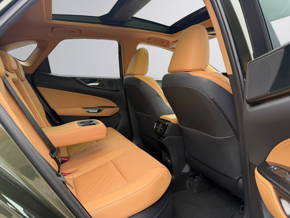 Lexus Seria NX 450h+ - foto 33