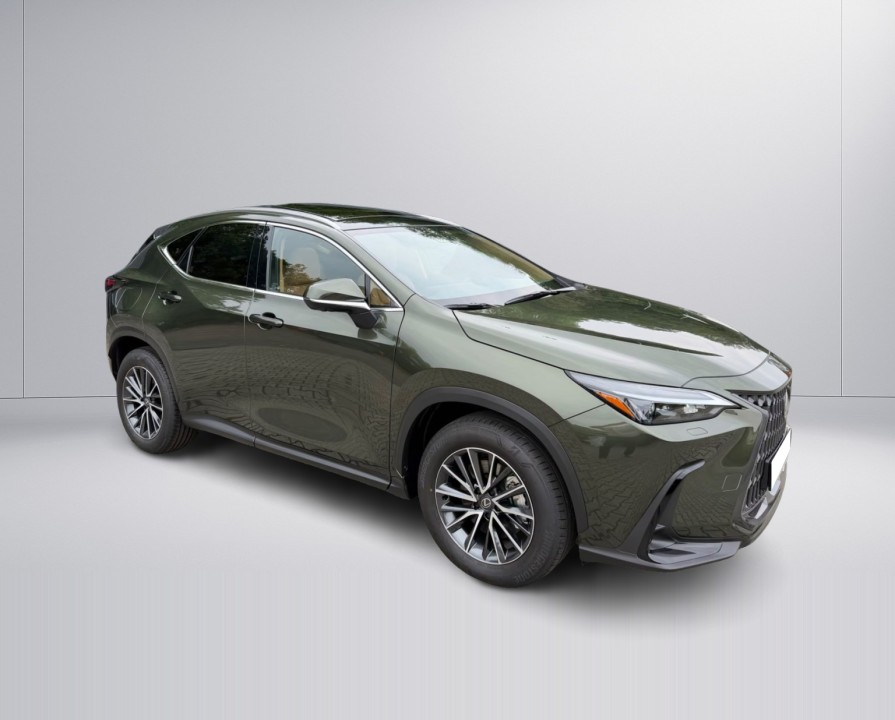 Lexus Seria NX 450h+ (2)