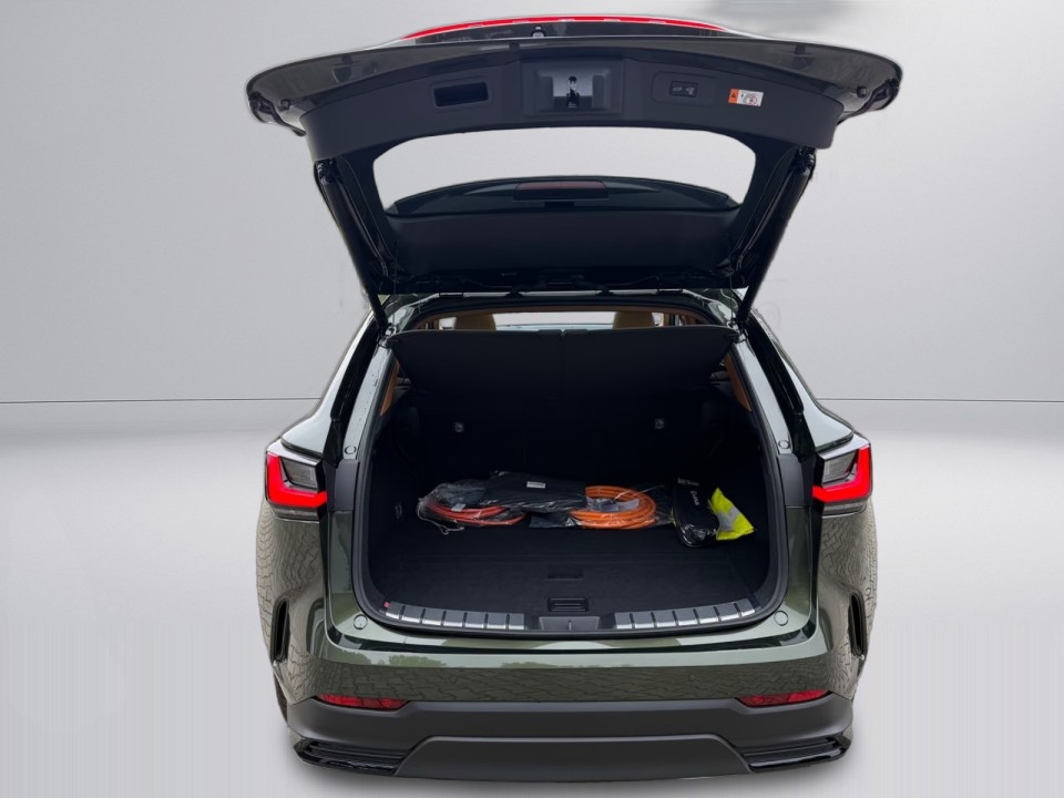 Lexus Seria NX 450h+ - foto 42