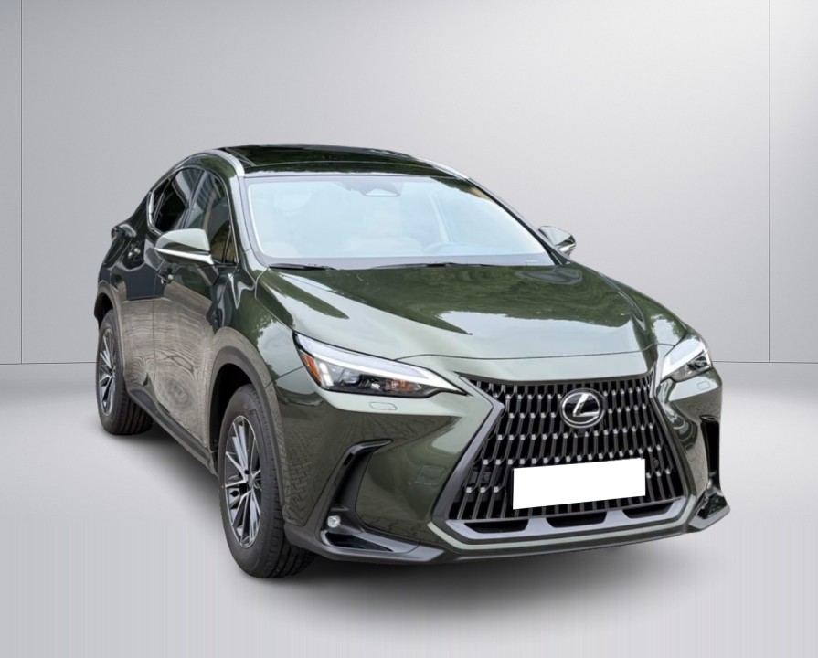 Lexus Seria NX 450h+