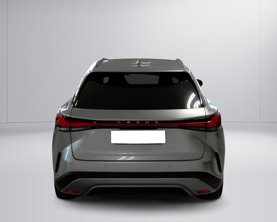 Lexus Seria RX 450h+ Executive (4)