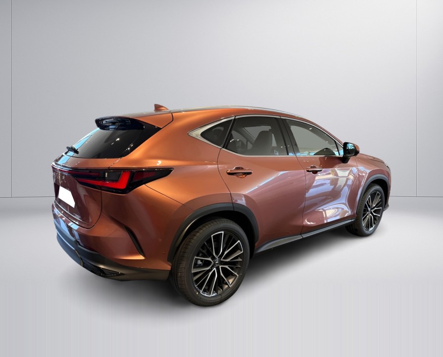 Lexus Seria NX 450h+ Luxury (3)