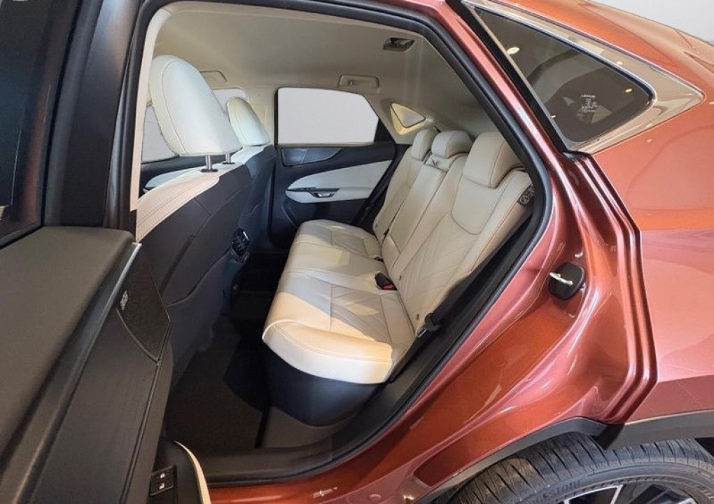 Lexus Seria NX 450h+ Luxury - foto 10