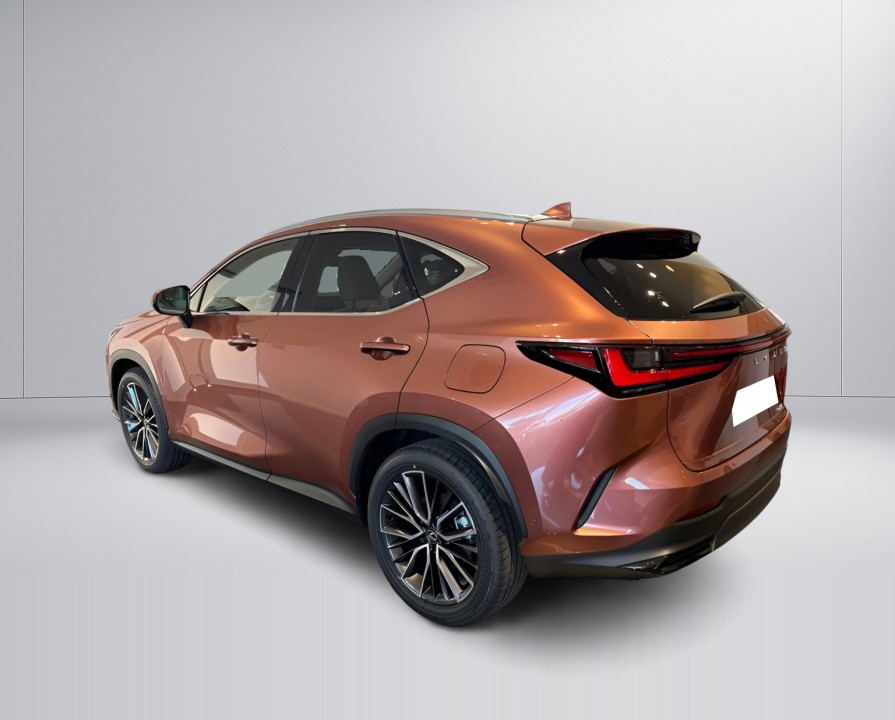 Lexus Seria NX 450h+ Luxury (5)