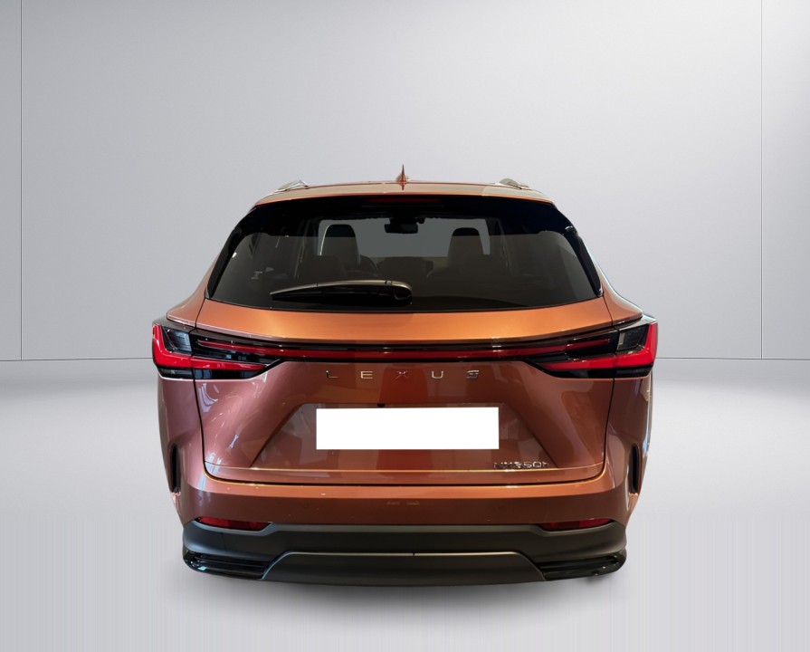 Lexus Seria NX 450h+ Luxury (4)