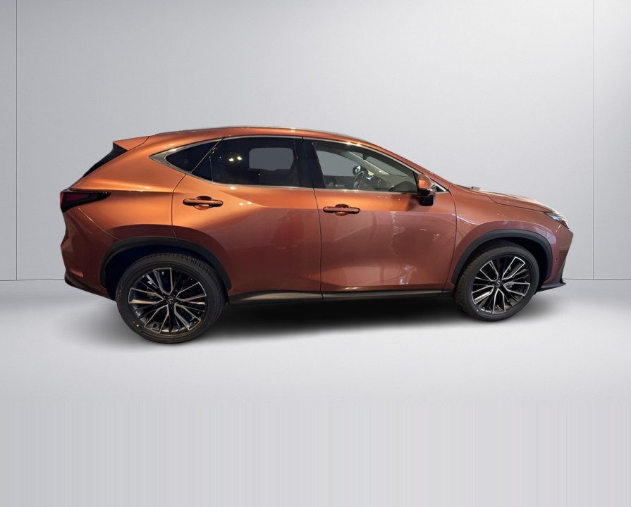 Lexus Seria NX 450h+ Luxury (2)