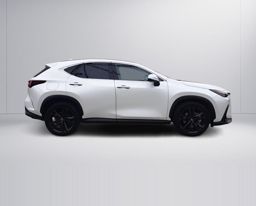 Lexus Seria NX 450h+ AWD (3)