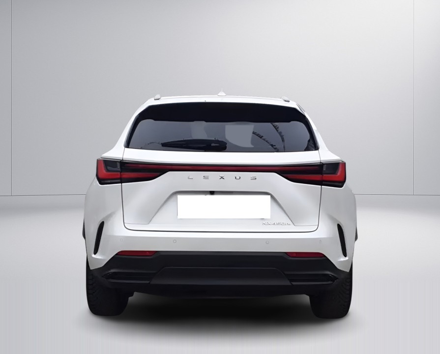 Lexus Seria NX 450h+ AWD (4)