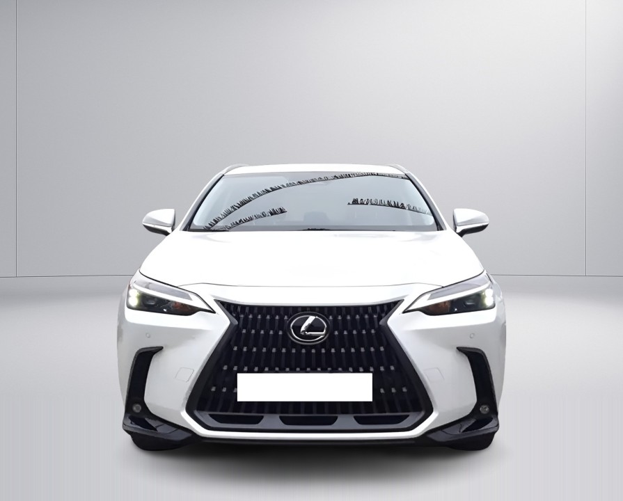 Lexus Seria NX 450h+ AWD (2)