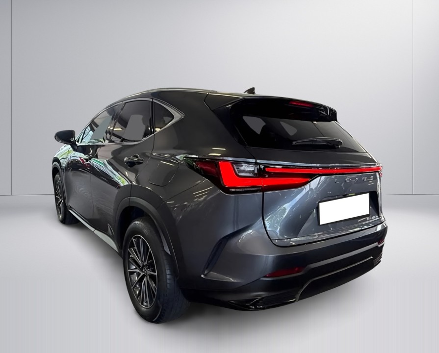 Lexus Seria NX 450h+ AWD Business Line (5)