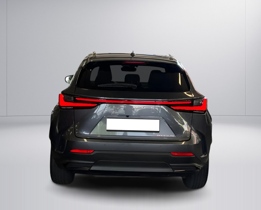 Lexus Seria NX 450h+ AWD Business Line (4)