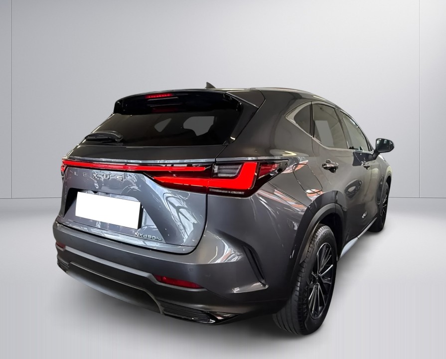 Lexus Seria NX 450h+ AWD Business Line (3)
