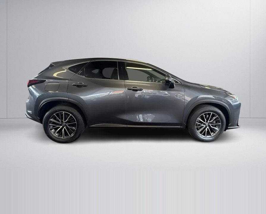 Lexus Seria NX 450h+ AWD Business Line (2)