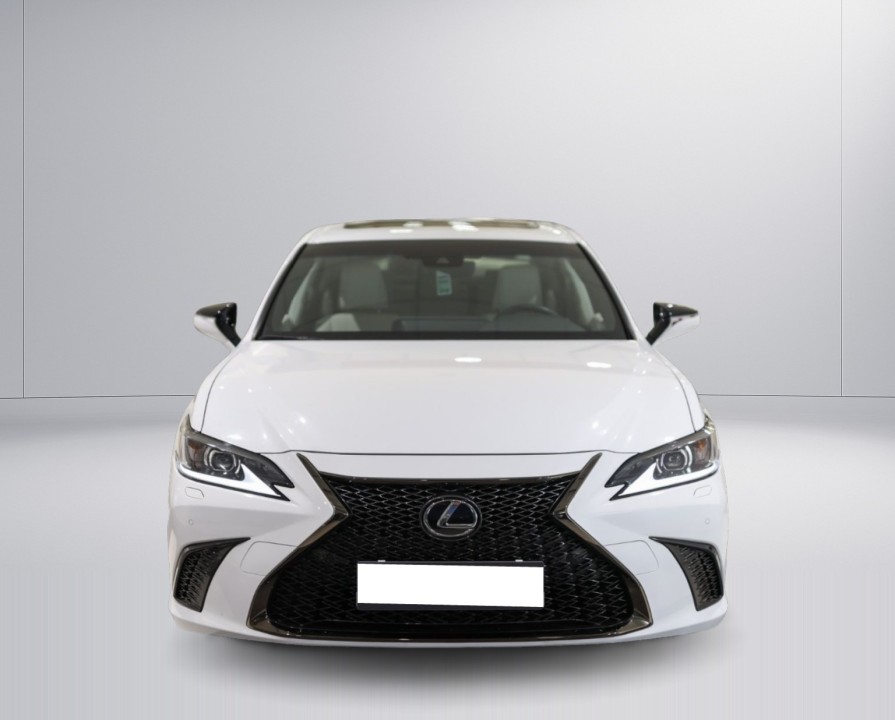 Lexus Seria ES 300h (5)