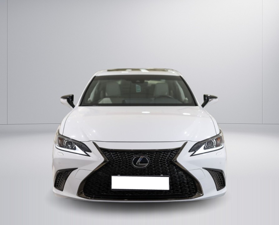 Lexus Seria ES 300h (2)