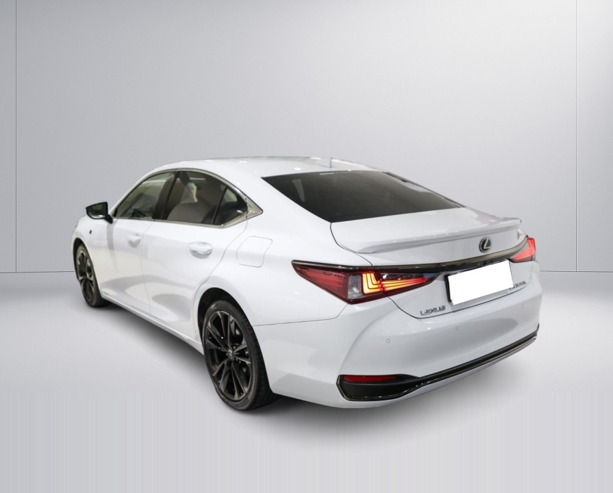 Lexus Seria ES 300h (3)